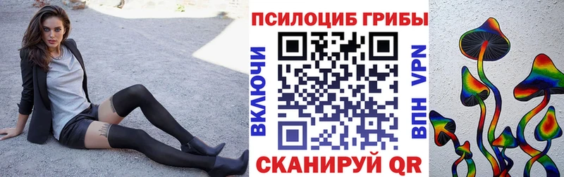 Купить где  Бирюсинск  Псилоцибиновые грибы Cubensis 